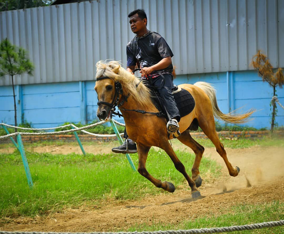 photo6230776406145608549